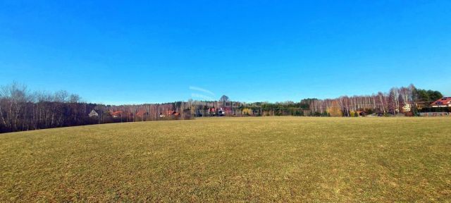 Działka rolna Marcinkowo. Zdjęcie 2