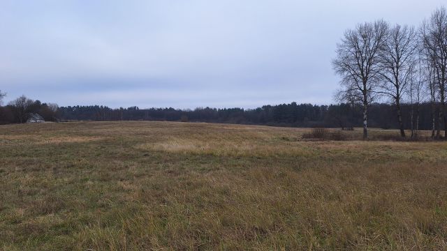 Działka rolna Mariankowo. Zdjęcie 2