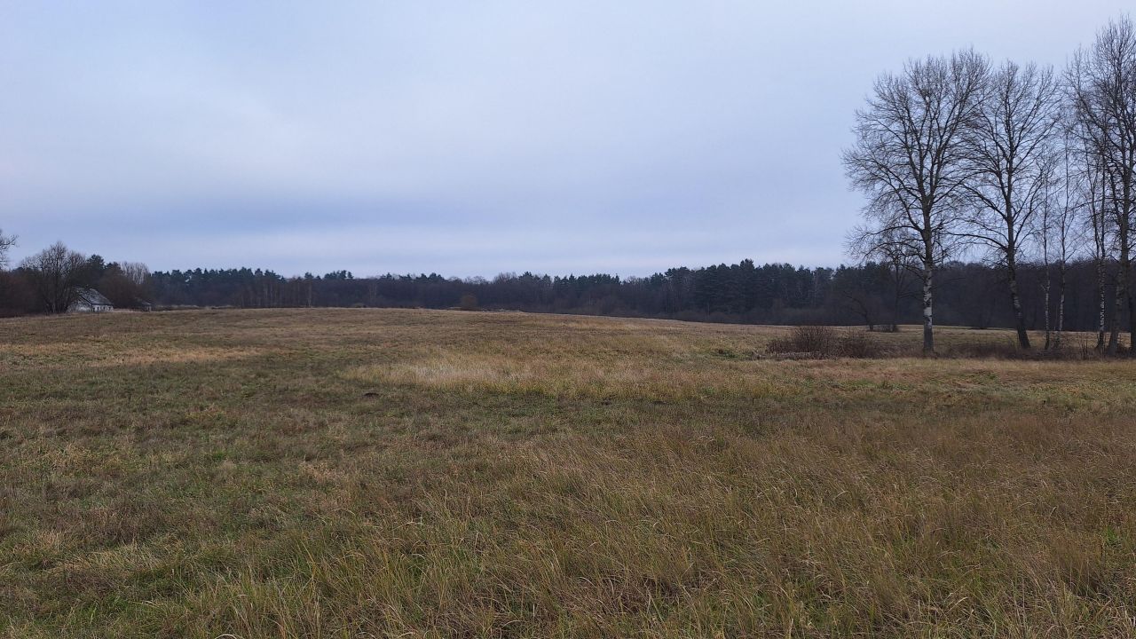 Działka rolna Mariankowo. Zdjęcie 2