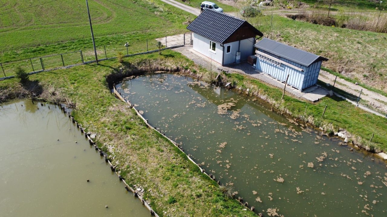 Działka rekreacyjna Kisielów. Zdjęcie 5