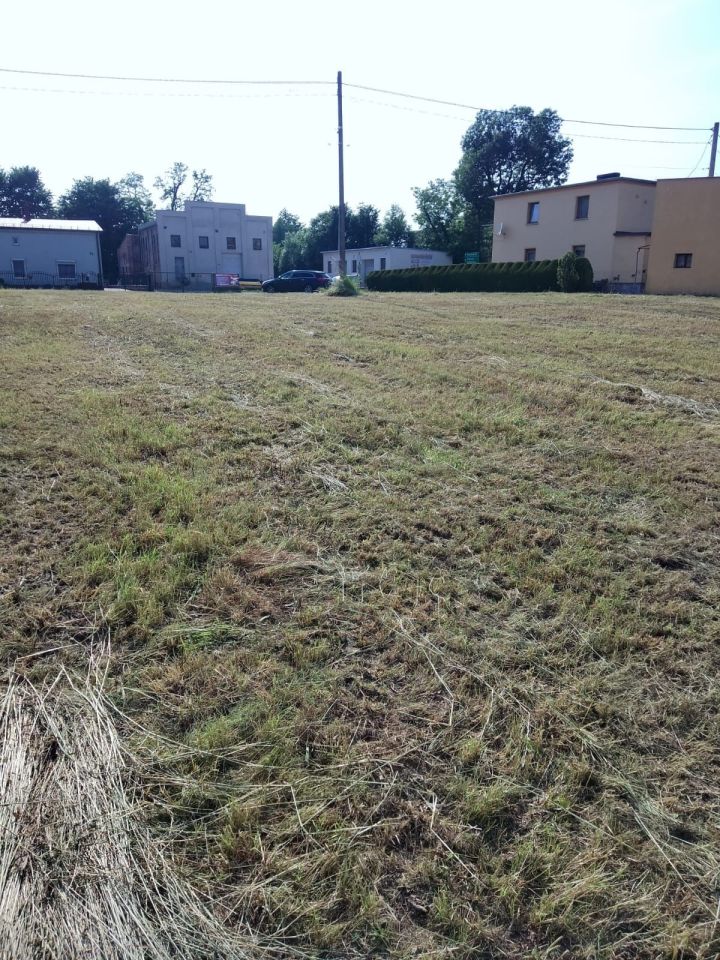 Działka rolno-budowlana Biała. Zdjęcie 2