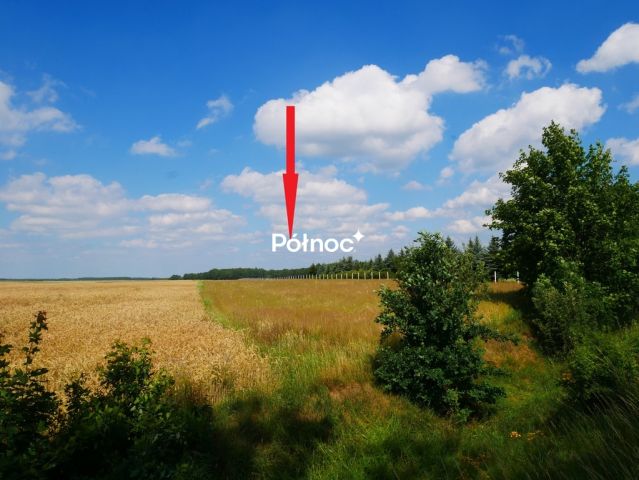 Działka rolna Zebrzydowa. Zdjęcie 3