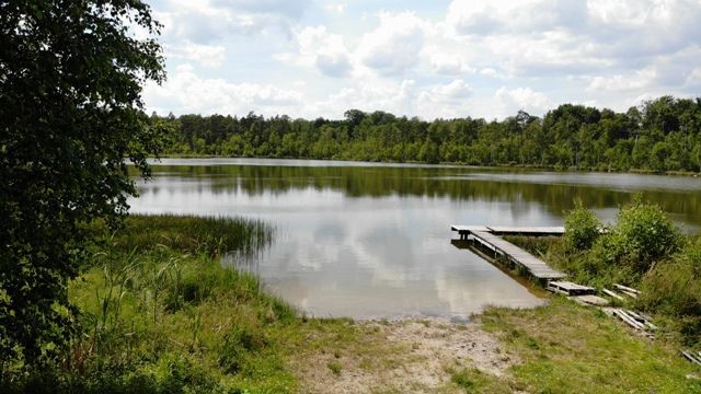Działka rekreacyjna Stary Barkoczyn. Zdjęcie 4