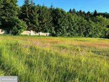 Działka budowlana Jeziory Wielkie. Zdjęcie 1