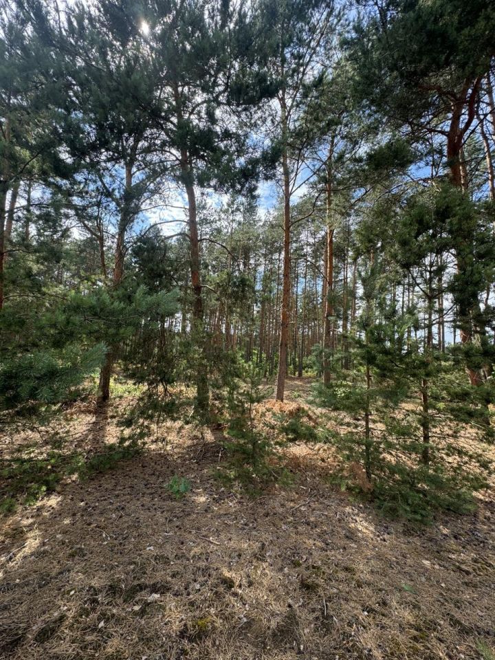 Działka rekreacyjna Przeradowo. Zdjęcie 13