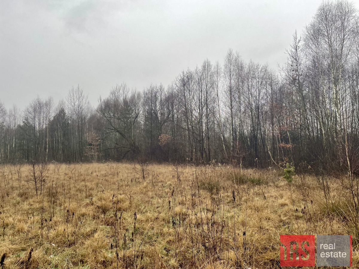 Działka siedliskowa Laskowizna. Zdjęcie 2