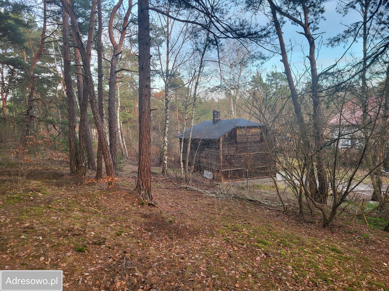 Działka budowlana Józefów, ul. Wiązowska. Zdjęcie 6