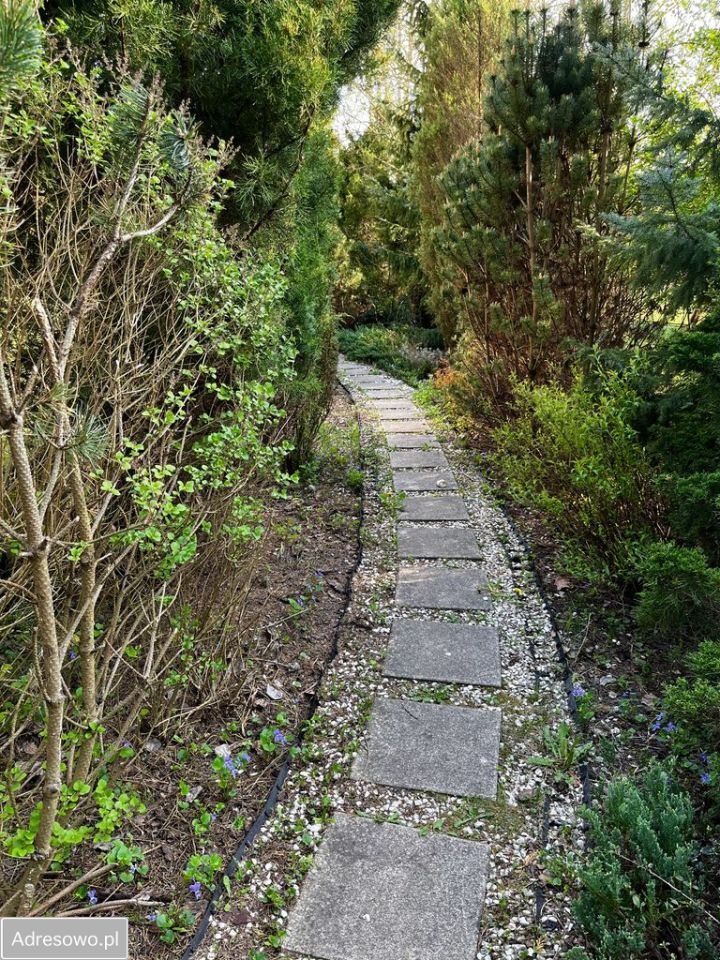 dom wolnostojący, 5 pokoi Cybulice Duże. Zdjęcie 6