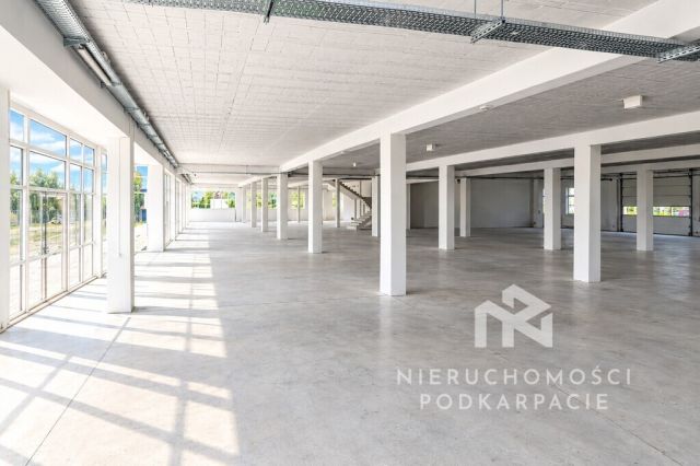 Lokal Kraczkowa. Zdjęcie 12