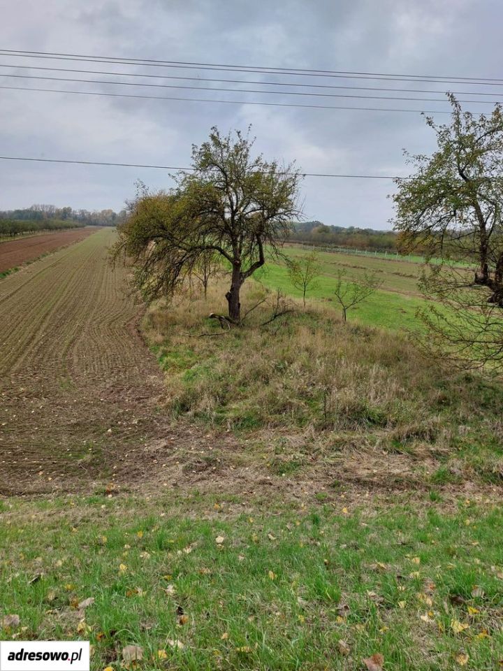 Działka rolna Kolonia Nadwiślańska. Zdjęcie 4