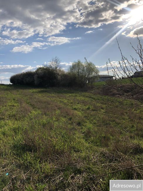 Działka budowlana Zarzeczewo Kulin. Zdjęcie 6