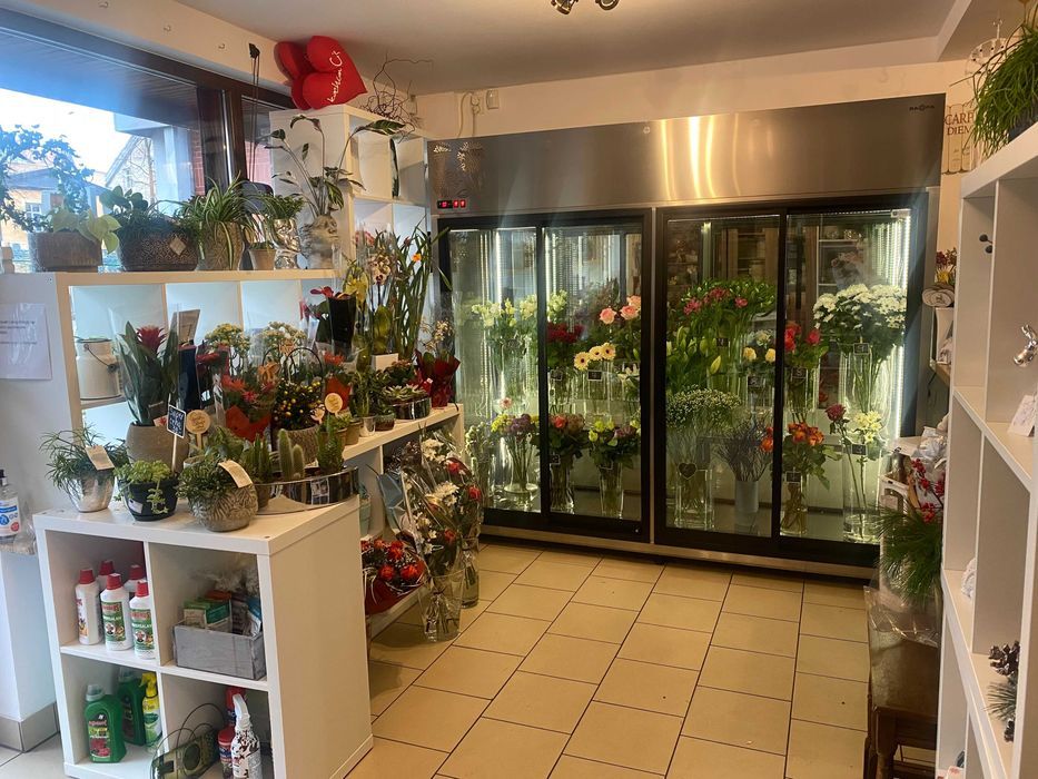 Lokal Jelenia Góra Centrum, ul. Wolności. Zdjęcie 5