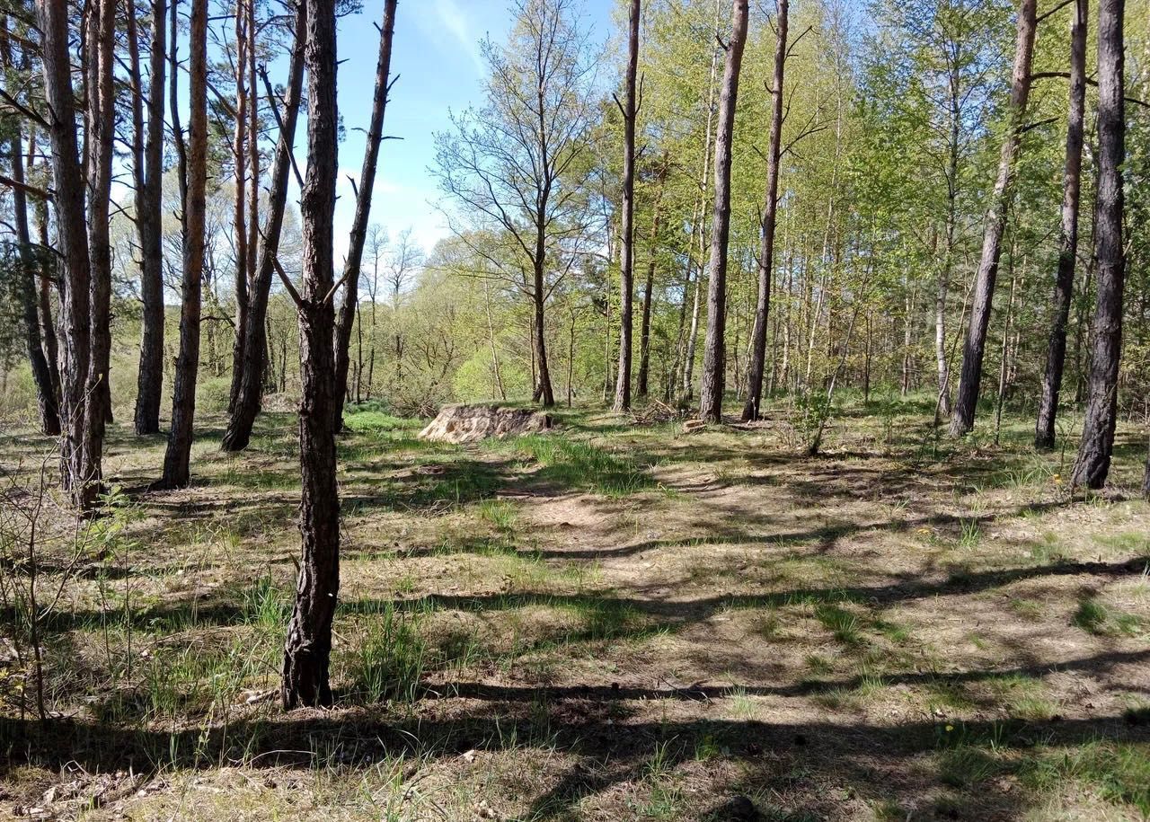 Działka rekreacyjna Bizoręda. Zdjęcie 2