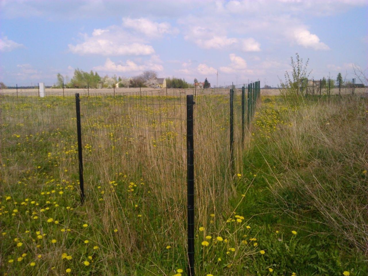 Działka budowlana Długie. Zdjęcie 5