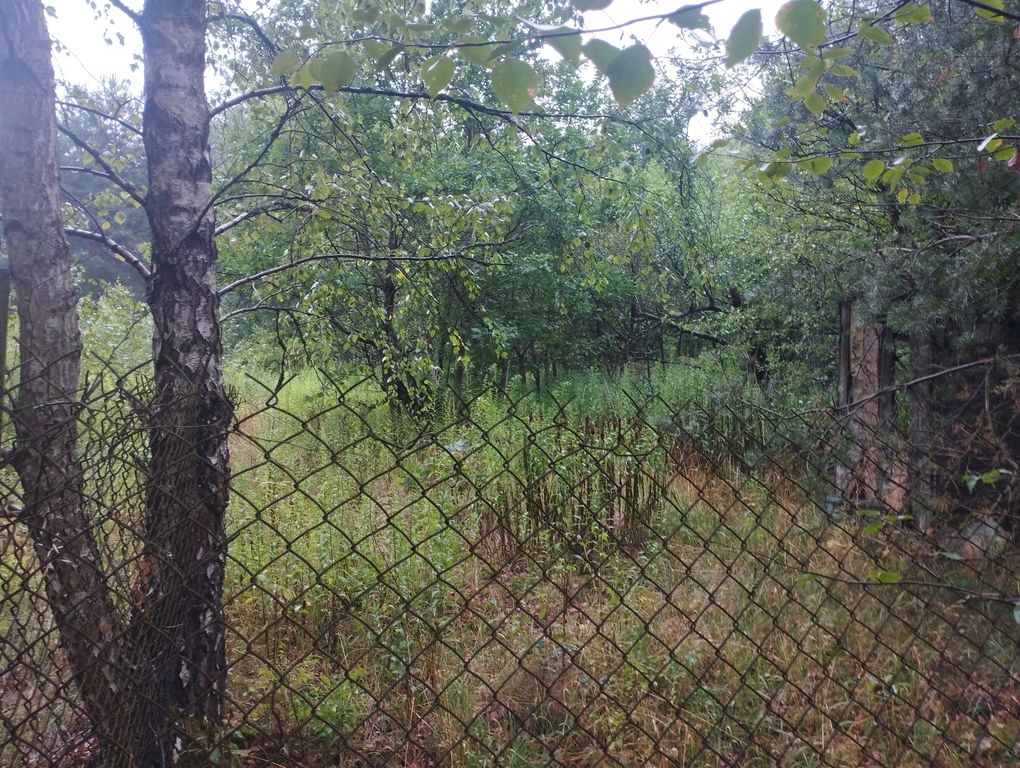 Działka budowlana Mieszkowo. Zdjęcie 10