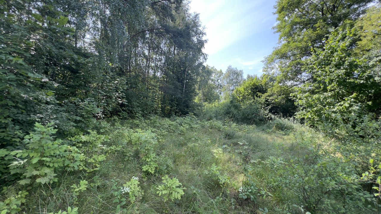 Działka rolno-budowlana Piaseczno. Zdjęcie 2