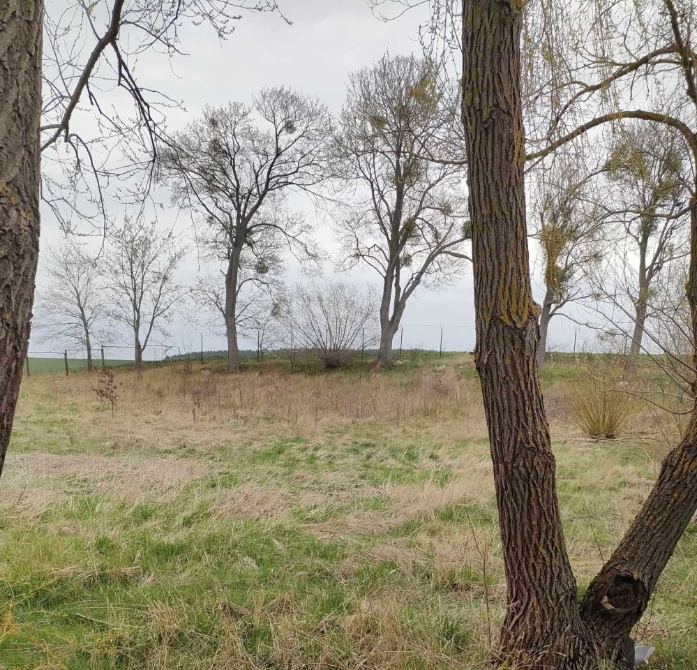 Działka budowlana Arciszewo, ul. Admiralska. Zdjęcie 2