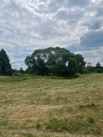 Działka rolna Malużyn. Zdjęcie 1