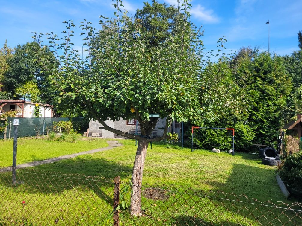 Działka rod Olsztyn, ul. Kołobrzeska. Zdjęcie 4