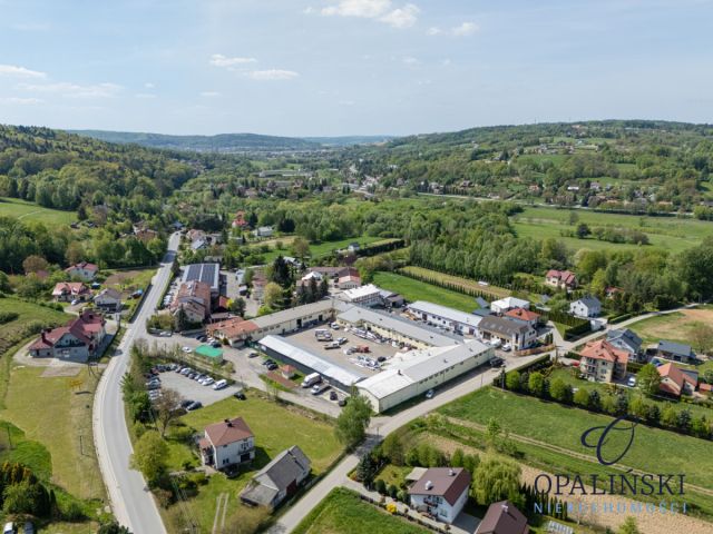 Lokal Lubenia. Zdjęcie 30