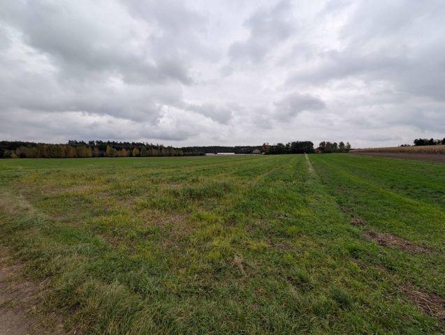 Działka rolna Nadzież. Zdjęcie 1