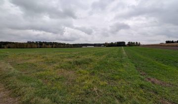 Działka rolna Nadzież