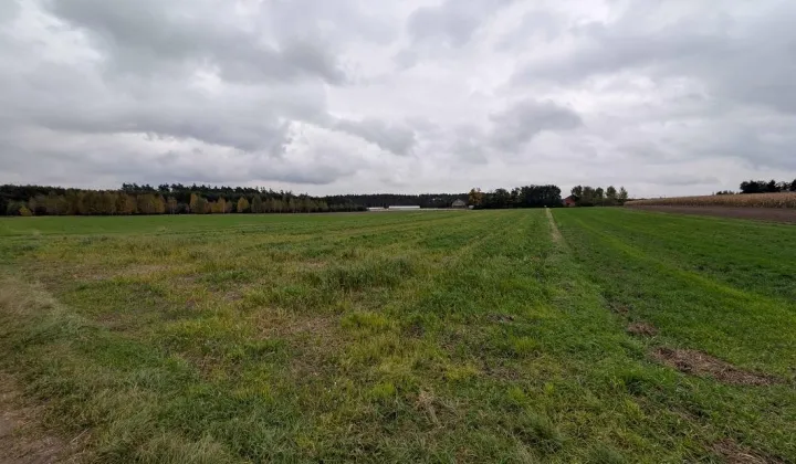 Działka rolna Nadzież