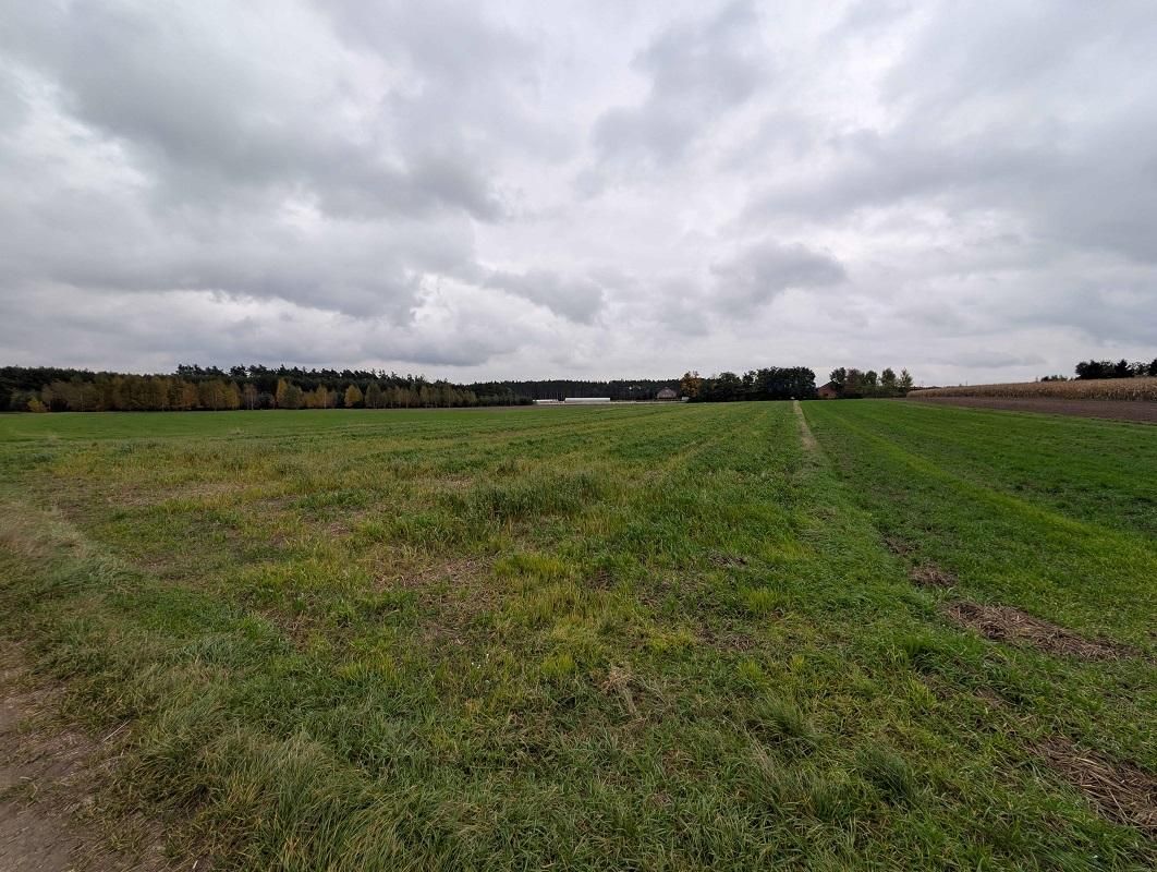 Działka rolna Nadzież