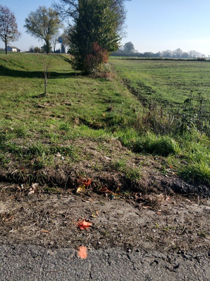 Działka siedliskowa Korzeniów. Zdjęcie 8