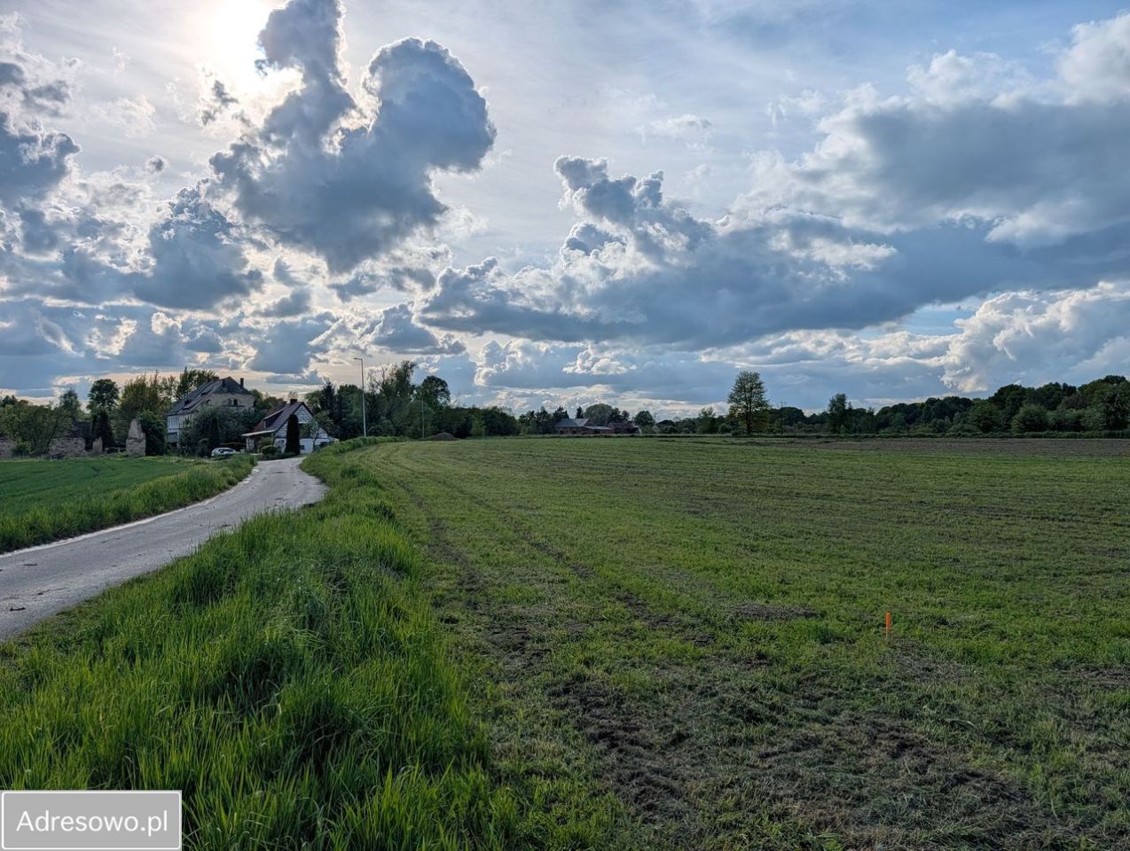 Działka budowlana Żeliszów. Zdjęcie 2