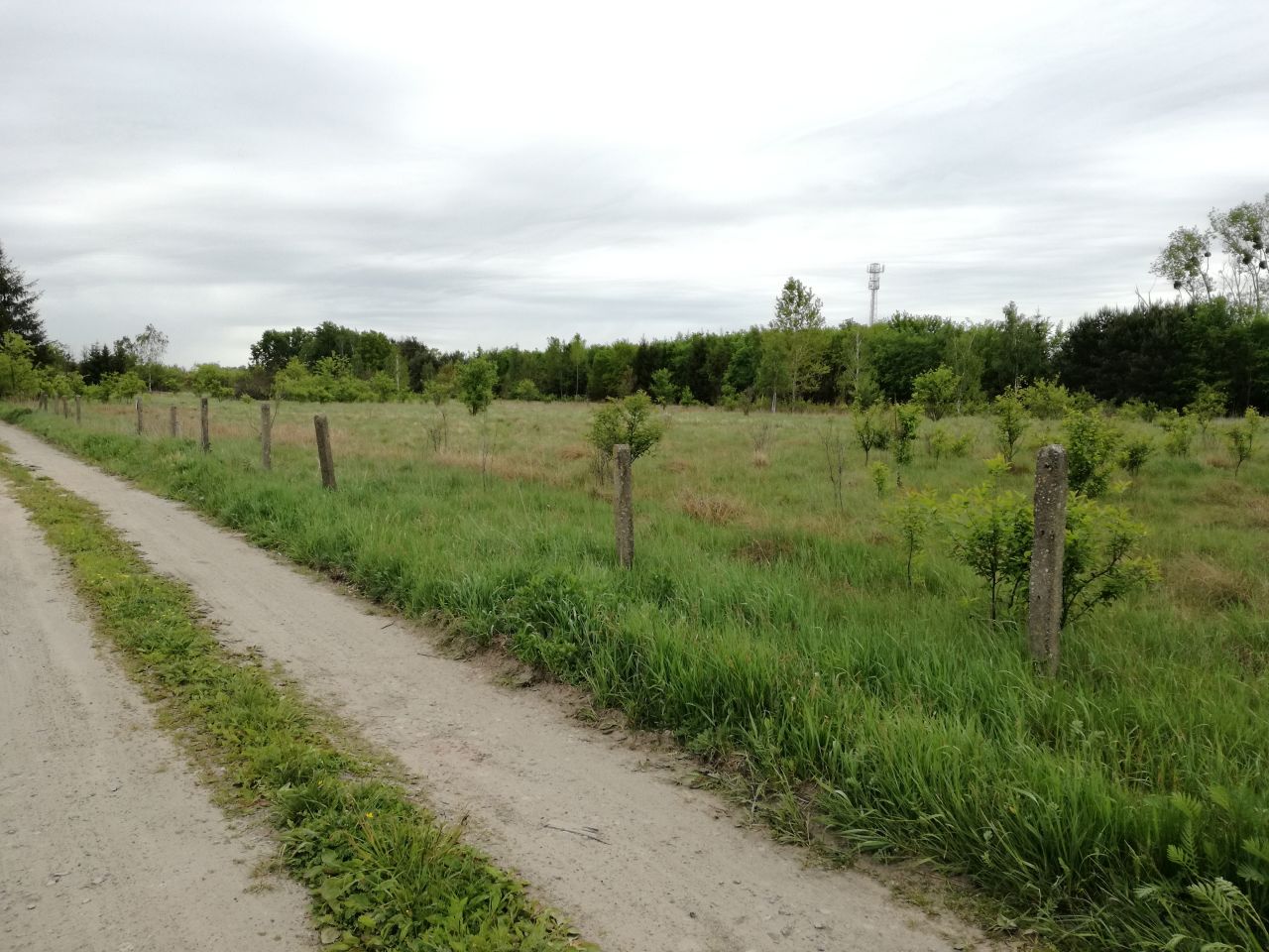 Działka siedliskowa Sowia Wola, ul. Sowia. Zdjęcie 4