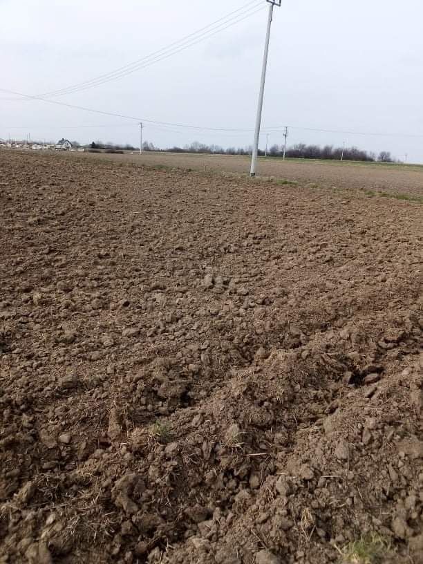 Działka Sieciechowice. Zdjęcie 3