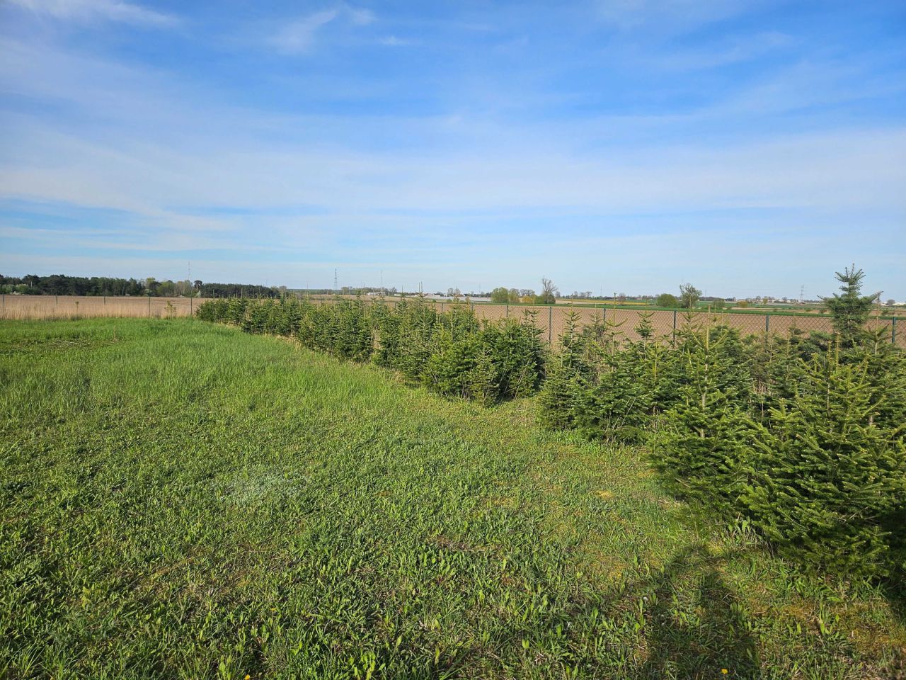 Działka budowlana Brzeziny. Zdjęcie 3