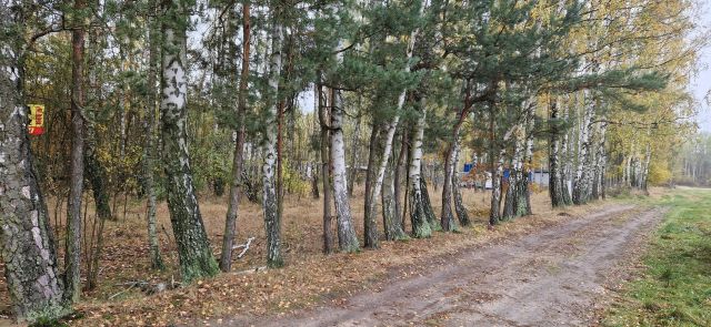 Działka budowlana Budy-Grzybek. Zdjęcie 3