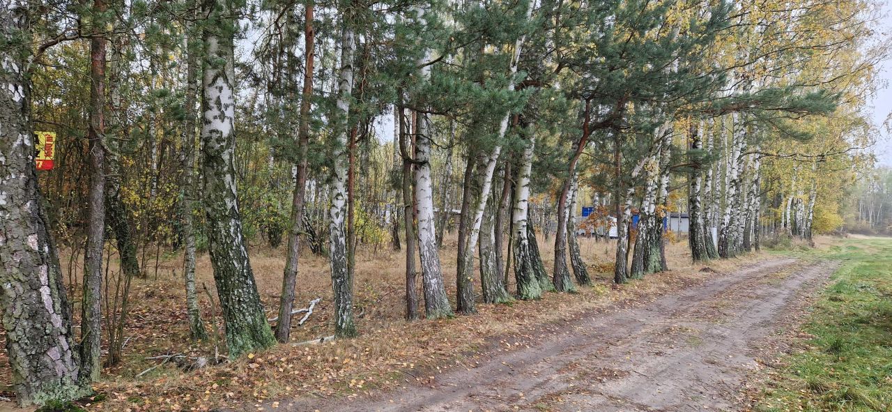 Działka budowlana Budy-Grzybek. Zdjęcie 3