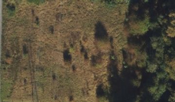 Działka budowlana Bąkowo, ul. Jastrzębia