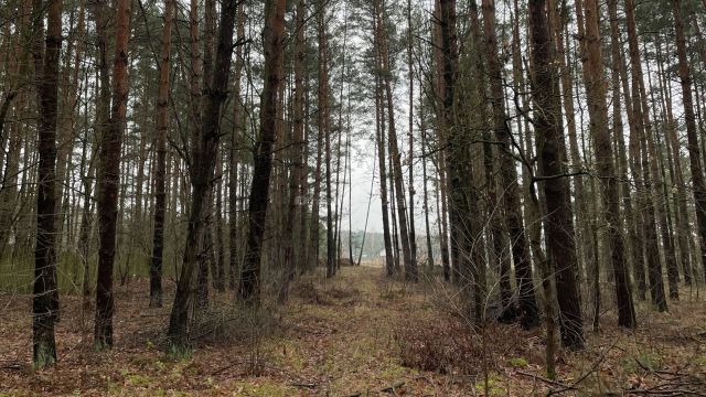 Działka budowlana Kamieńczyk. Zdjęcie 4