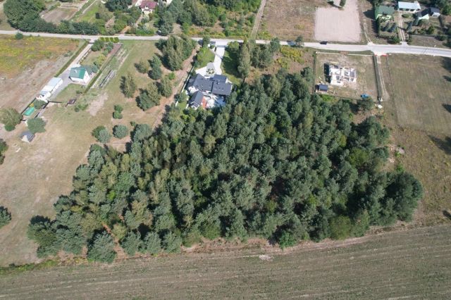 Działka budowlana Mieszkowo, ul. Szklarniowa. Zdjęcie 5