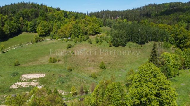 Działka inwestycyjna Karpniki. Zdjęcie 9