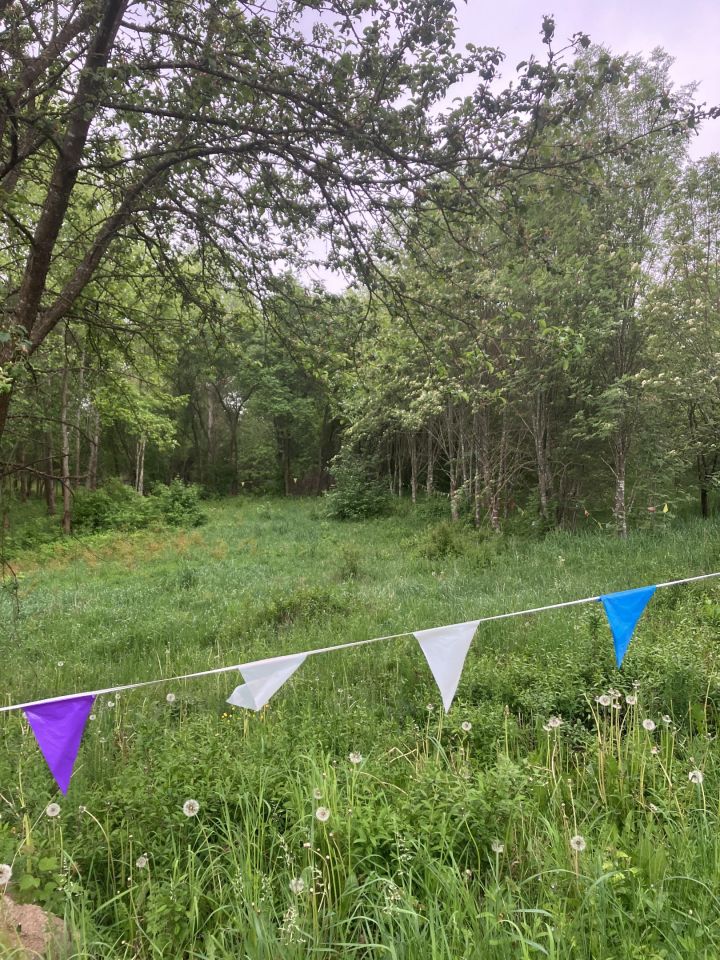 Działka rekreacyjna Jedwabno, ul. Modrzewiowa. Zdjęcie 6