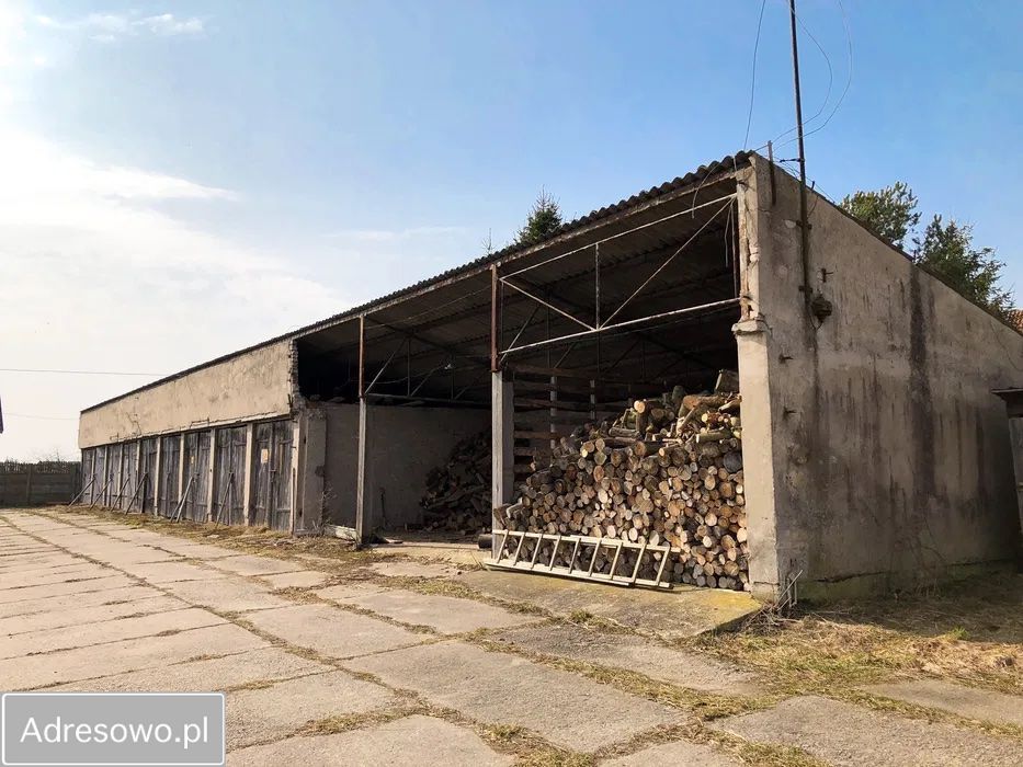 Hala/magazyn Olszewo. Zdjęcie 7