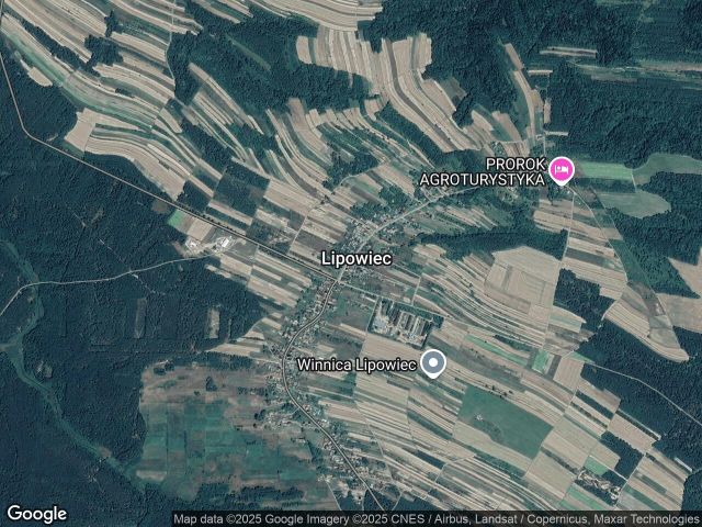 Działka leśna Lipowiec. Zdjęcie 1