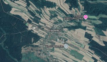 Działka leśna Lipowiec