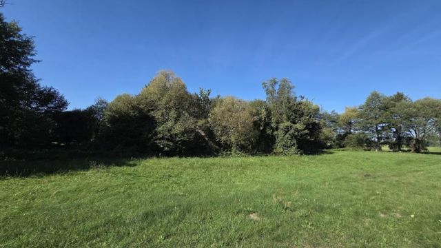 Działka rolna Dziektarzewo. Zdjęcie 6