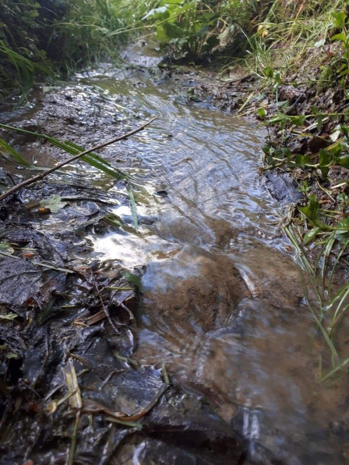 Działka budowlana Biesna. Zdjęcie 6