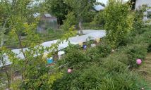 Działka rod Koszalin, ul. Holenderska. Zdjęcie 3