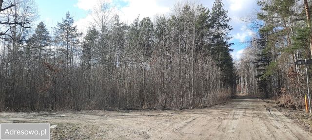 Działka budowlana Nowe Grobice, ul. Jodłowa. Zdjęcie 1