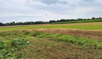 Działka rolno-budowlana Kupienin