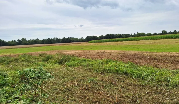 Działka rolno-budowlana Kupienin