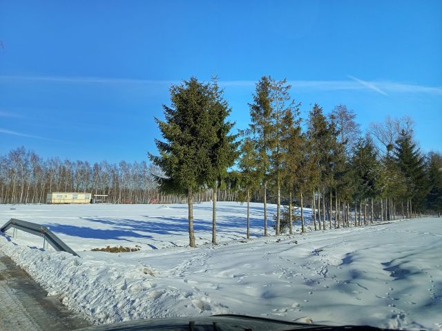 Działka rolno-budowlana Zbiczno. Zdjęcie 1